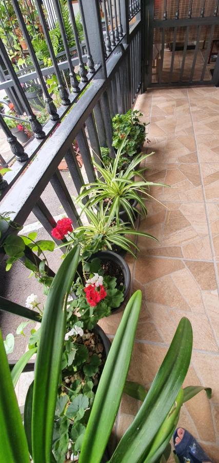 Casa Rural El Puente 타가나나 외부 사진